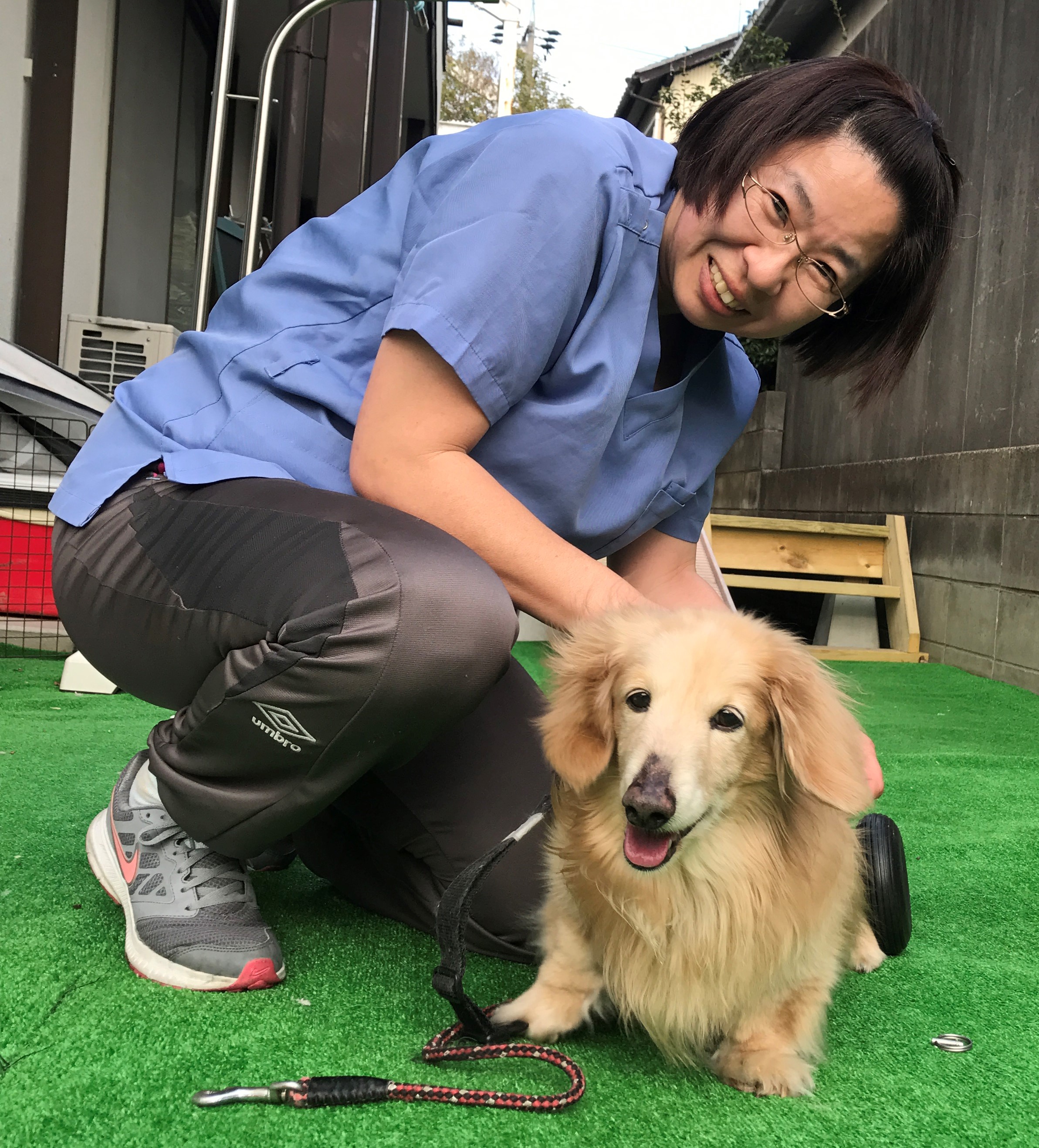 動物の介護施設で働く動物看護師 一般社団法人 日本動物看護職協会