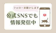 LINE メルマガ登録